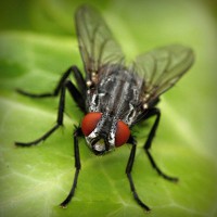 /album/fahabatto/photolia-a01-jpg/