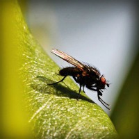 /album/fahabatto/photolia-a04-jpg/