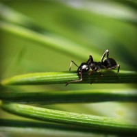 /album/fahabatto/photolia-a05-jpg/