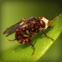 /album/fahabatto/photolia-a06-jpg/