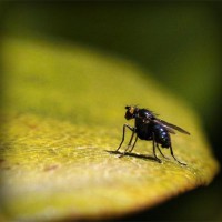 /album/fahabatto/photolia-a07-jpg/